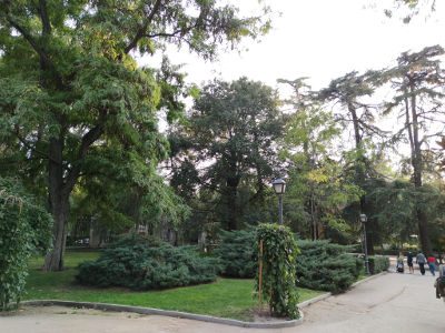 flora
