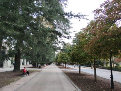 paseo